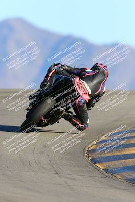 media/Jan-09-2022-SoCal Trackdays (Sun) [[2b1fec8404]]/Turn 12 Backside (130pm)/